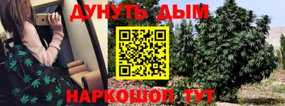 гидра Беслан