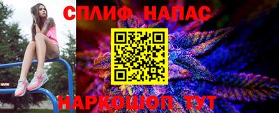 гидра Беслан