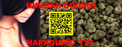 гидра Беслан