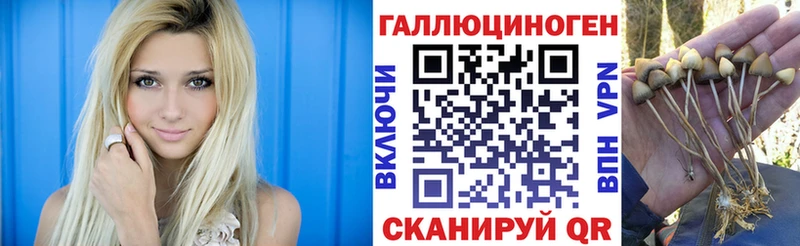 Галлюциногенные грибы прущие грибы  Казань 