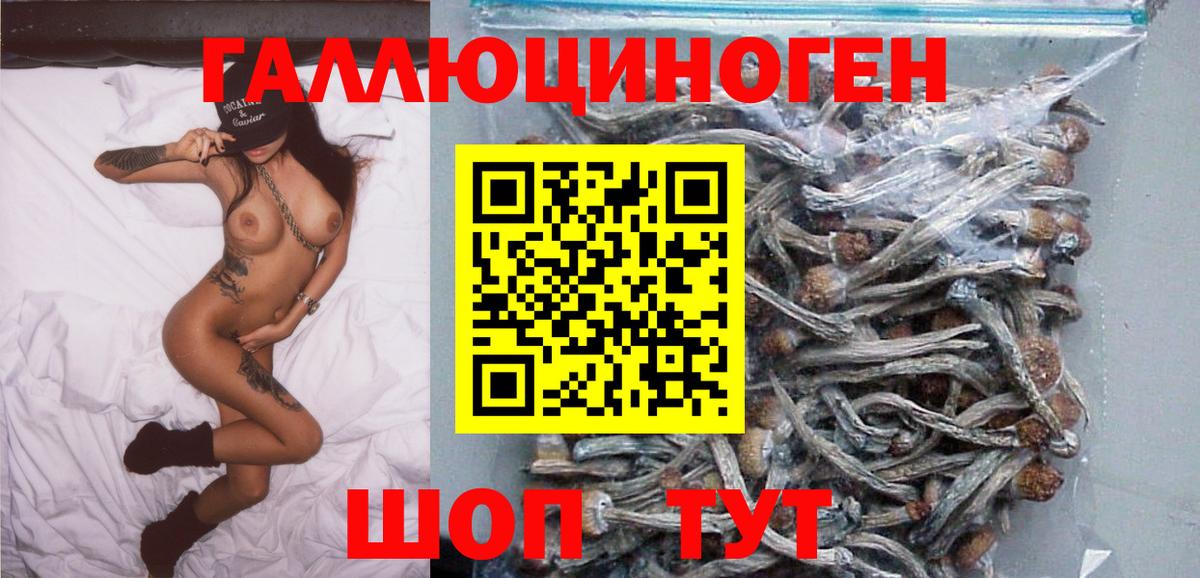 Галлюциногенные грибы MAGIC MUSHROOMS Казань