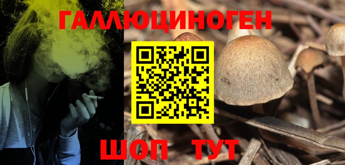 Казань  Псилоцибиновые грибы GOLDEN TEACHER  Псилоцибиновые грибы Cubensis  Вход с VPN 