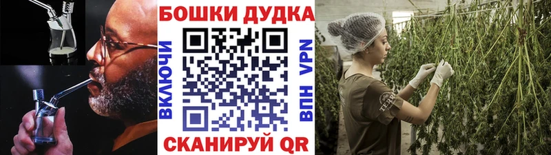 сколько стоит  Казань  Бошки Шишки OG Kush 